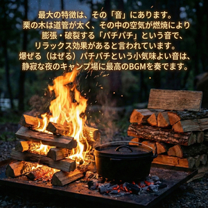 お試し 薪 1.5kg 栗の木