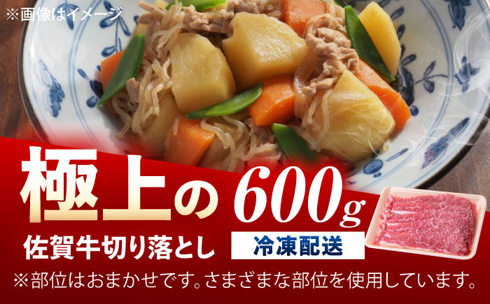佐賀牛 切り落とし 600g /MKミート武雄 [UEM030]