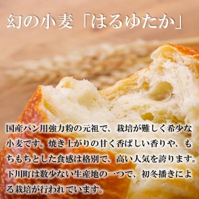 ふるさと納税 下川町 北海道下川町産はるゆたか100%(強力粉) バイオ炭施用 カーボン・オフセット付 5kg |  | 01