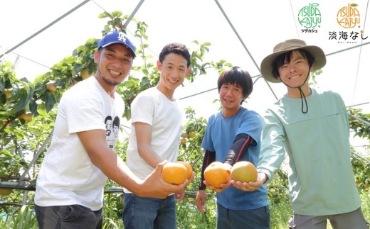 【先行予約】【数量限定】淡海なし　幸水　3kg箱入り（サイズ：2L～7L　5～10個入り） 【K127W】