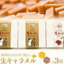 【ふるさと納税】【湯布院のはちみつ屋さん】国産蜂蜜を使用した2種の生キャラメル（プレーン×2・アーモンド）各12粒入り 計3箱 | 蜂蜜専門店 ハチミツ 洋菓子 キャラメル 食べ比べ 返礼品 お取り寄せグルメ 人気 送料無料 取り寄せ 湯布院 由布院 ゆふいん