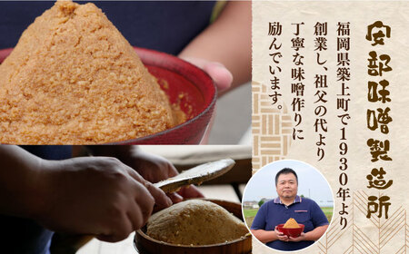 味噌 仕込み味噌 福みそ 8kg ※仕込み樽付き [ABAF017] 味噌