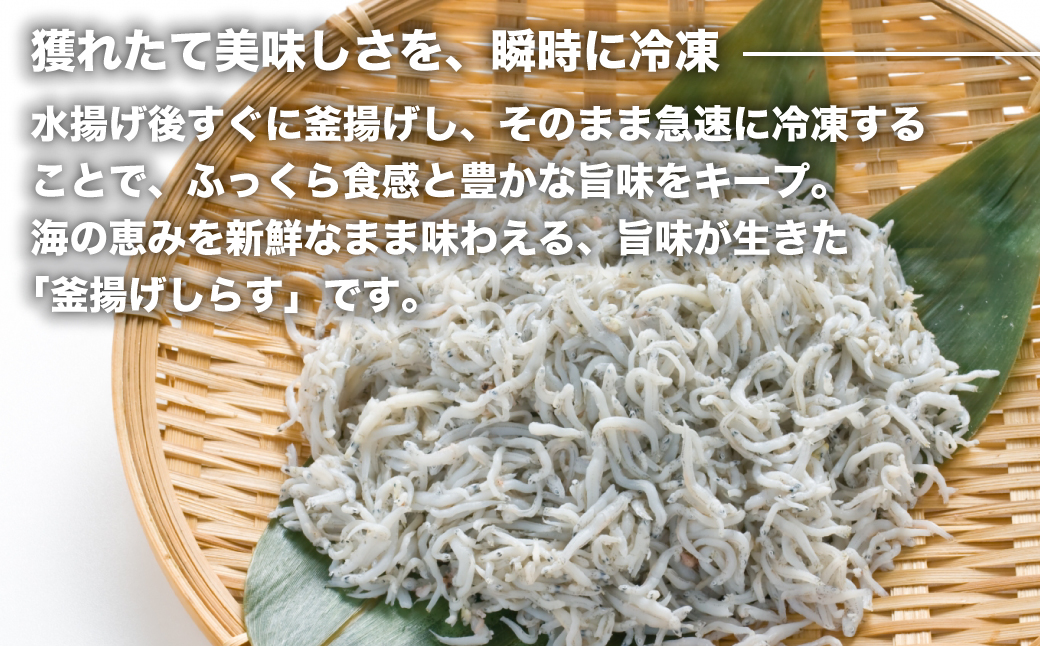 淡路島シラスの釜揚げ 100ｇ8袋入り（800ｇ）　　[釜揚げしらす 釜揚げシラス しらす 釜揚げしらす]