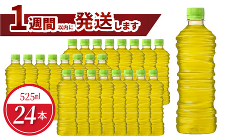 綾鷹 525ml PET ラベルレス（24本入） お茶 休憩 ラベルレス 環境にやさしい 茶葉 うまみ 宇治 緑茶 おいしい まとめ買い 箱買い  コカ・コーラ BB-0055