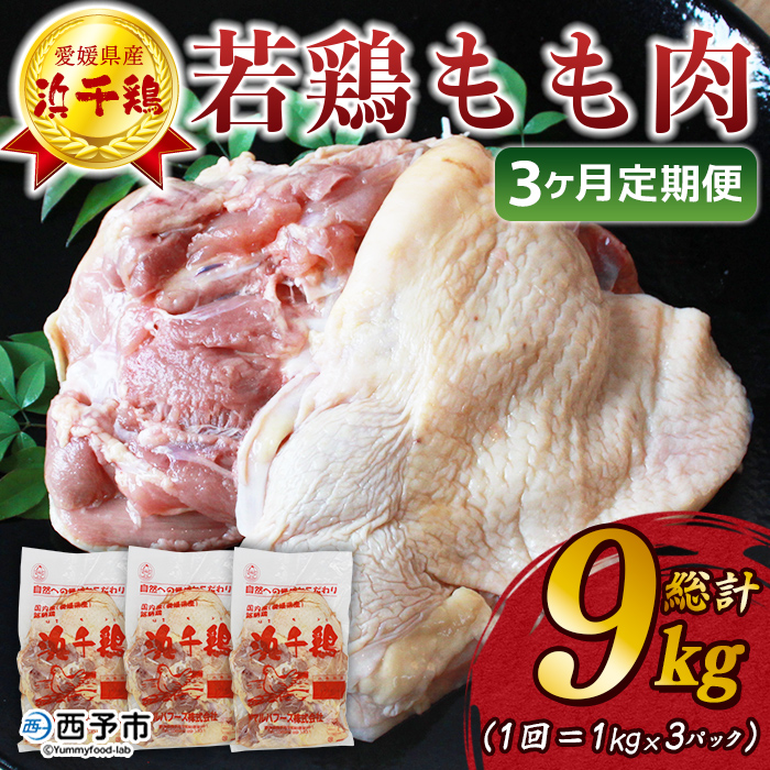 ＜【3ヶ月定期便】銘柄鶏 浜千鶏 愛媛県産 若鶏もも肉 3kg（1kg×3）＞ 国産 鶏肉 鳥肉 とり チキン モモ肉 はまちどり ブロック 精肉 にく 料理 アレンジ 夕飯 夕食 お弁当 昼食 唐揚