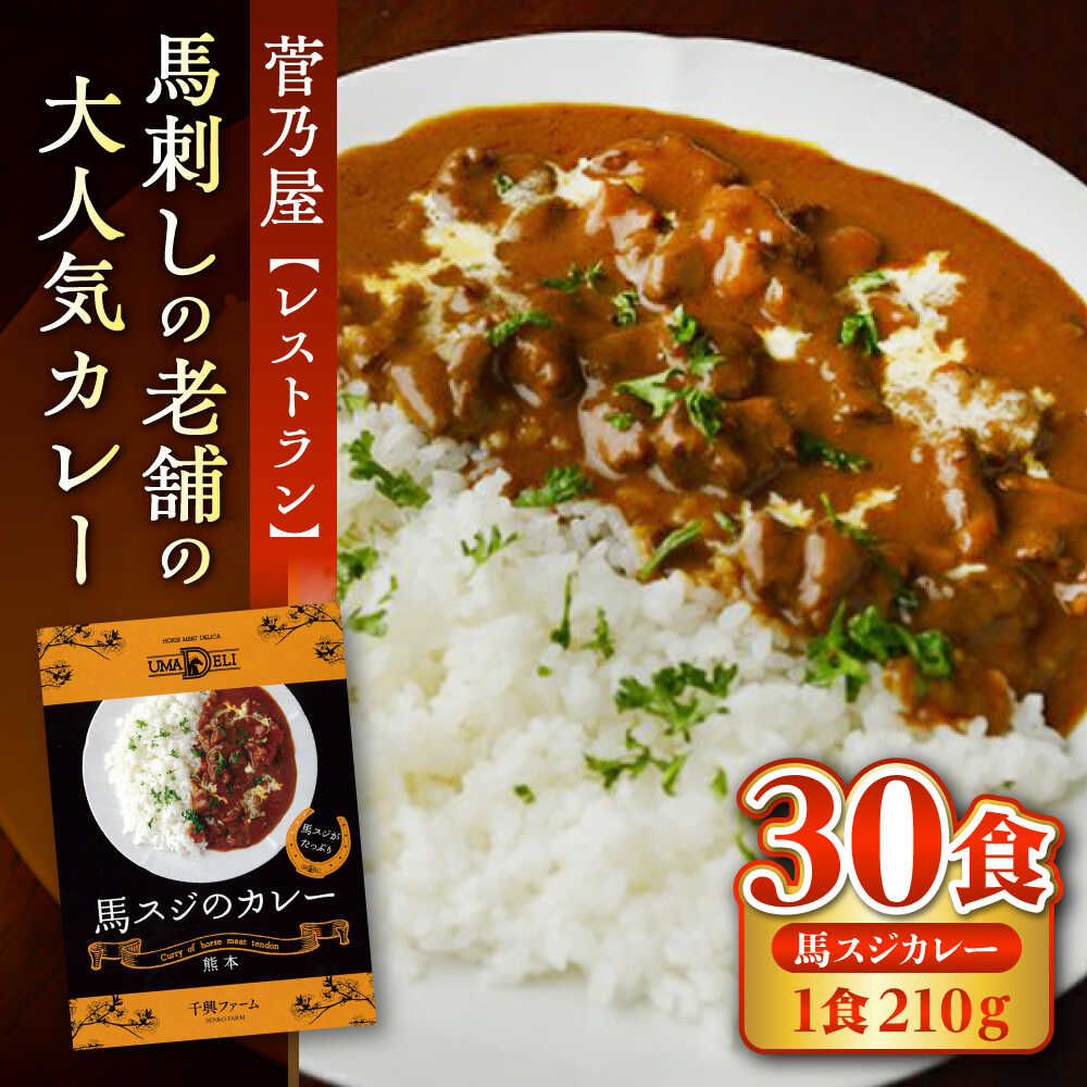 【ふるさと納税】熊本 馬肉 馬スジのカレー 30食分 (210g/食) カレー 馬スジ 馬肉 お土産 レトルト 【株式会社 千興ファーム】[AYAF116]