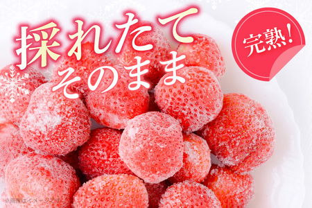 冷凍イチゴ2kg（あまおう）※2024年4月以降順次発送予定 VZ001 