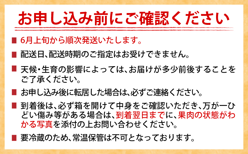 数量限定 南国 宮崎 完熟マンゴー 4L×1玉 A級品 化粧箱入り 期間限定 フルーツ スイーツ 果物 くだもの 食品 グルメ デザート 国産 産地直送 人気 リピート おすすめ おやつ 高級 ご褒美