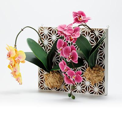 ふるさと納税 東郷町 Epiphyte　Art　Products　麻の葉　L　白 |  | 02