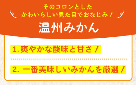 温州みかん 5kg SからLサイズ混合（40から50個入） 温州みかん みかん 果物 フルーツ 柑橘 愛媛県大洲市/有限会社いのうえ果樹園[AGBV003]みかんミカン果物みかんミカン果物みかんミカン