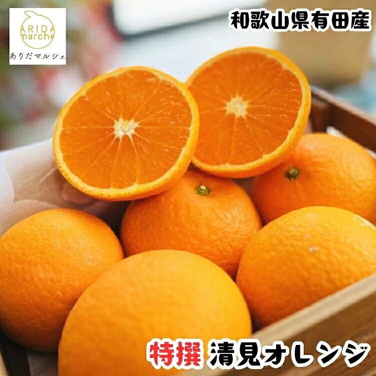 【ふるさと納税】【先行予約】産地直送 特選 完熟 清見 オレンジ / みかん 和歌山 有田 オレンジ フルーツ 果物 甘い ※2027年2月下旬～5月上旬に順次発送 ※北海道・沖縄・その他離島地域は発送不可