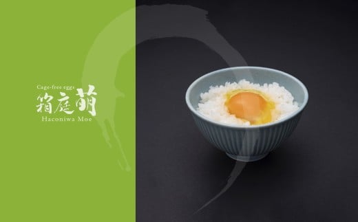 【定期便3回】懐かしさを感じる 箱庭たまご 「箱庭萌」 9個 | ギフトボックス 卵 たまご テレビ 話題 ごはん お供 タマゴ 卵かけ  真岡市 栃木県 送料無料