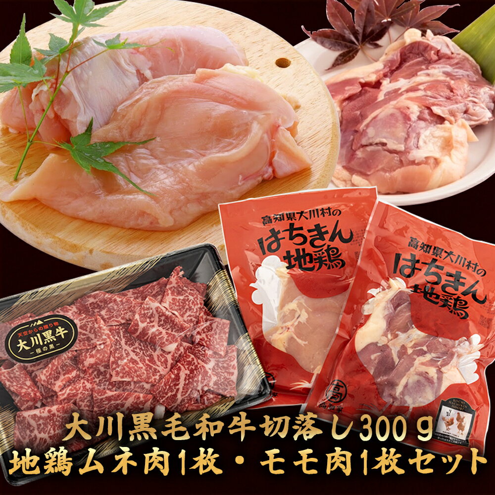 【ふるさと納税】 国産 黒毛和牛 「 大川黒毛和牛 」と 地鶏 胸肉 もも肉 の セット 肉 牛肉 国産 黒毛 和牛 切り落とし 300g 鶏肉 もも むね お得 パック 詰め合わせ 土佐はちきん地鶏 希少 ブランド鶏 土佐はちきん地鶏 高知県 須崎市 ふるさと納税牛肉 me061