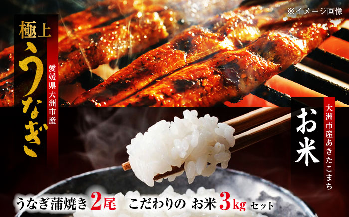 国産うなぎ！秘伝のタレで焼き上げた「うなぎ蒲焼き 2尾」と地元生産者こだわりの「お米 3kg」セット　愛媛県大洲市/有限会社 樽井旅館 [AGAH004]鰻 うな重 ひつまぶし 土用の丑の日 鰻重 ウナギ うな丼 鰻丼うなぎ丼 お米 お米 おにぎり 白米 ごはん ご飯 白ごはん