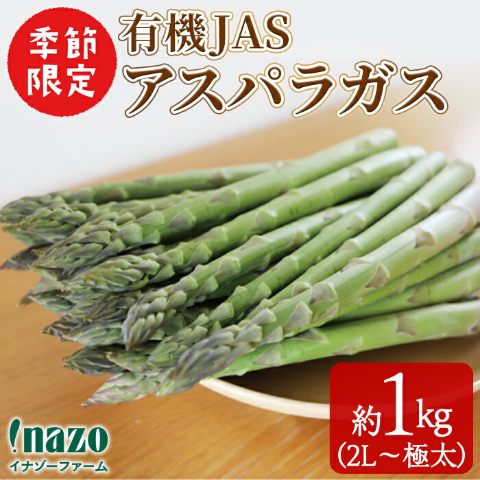 【ふるさと納税】＜季節限定＞有機JASアスパラガス(約1kg・2L～極太) 【先行予約受付中！2025年4月中下旬から順次発送】期間限定 アスパラ グリーンアスパラ 旬 野菜 【イナゾーファーム】