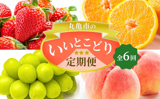 フルーツ 定期便 6ヶ月 丸亀市のいいとこどり定期便 セット 詰め合わせ 桃 ニューピオーネ シャインマスカット みかん いちご デコポン さぬきひめ せとか 果物 6回 半年 香川 