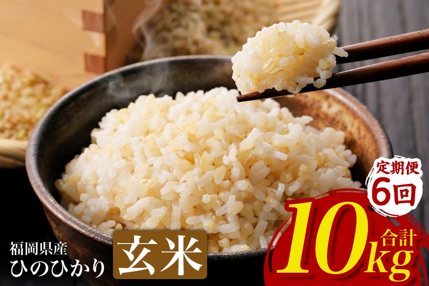 
                  【6回定期便】【ふるさと納税】ひのひかり 米 お米  玄米  10kg  10キロ 福岡県産 うきは市 国産 精米 ご飯 ごはん おにぎり お弁当 人気 おすすめ 家庭用 送料無料 令和7年度産 ストック 厳選 農家直送 大容量【JA福岡くるめ にじの耳納の里】
                