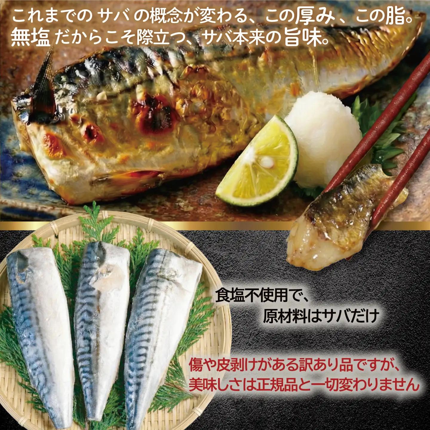 訳あり 無塩 厚切り とろさば フィーレ 約 3.5kg 【 鯖 】 カネジョウ大崎