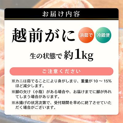 ふるさと納税 美浜町 【2025年3月上旬頃より順次お届け】越前がに　大1杯 |  | 03