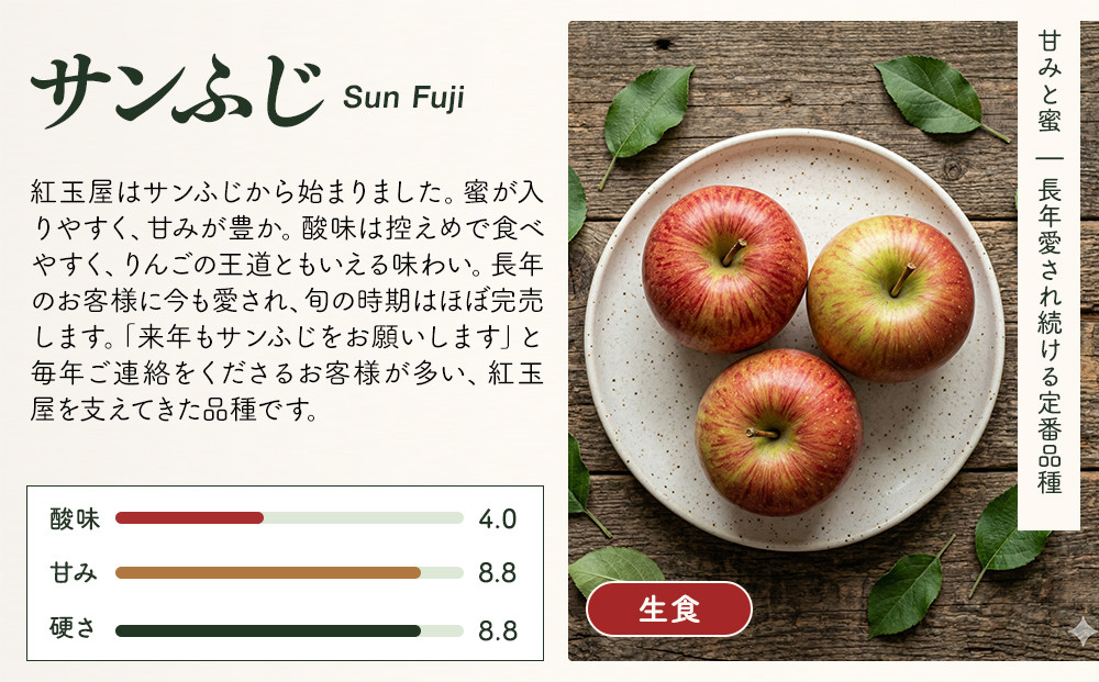 紅玉屋 長野市産【訳あり】サンふじ5kg【2026年12月上旬以降の出荷分】（紅玉屋） |  りんご フルーツ 果物 サンふじ 訳あり 人気 おすすめ ギフト プレゼント 送料無料 長野県 長野市 信