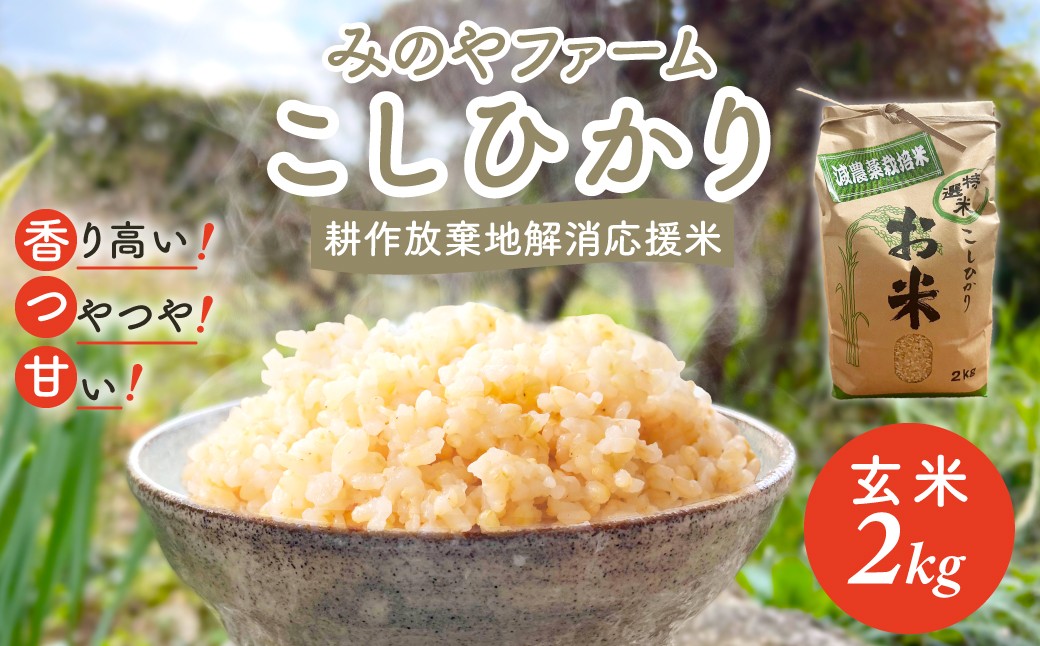 
            令和7年産新米 こしひかり 2ｋｇ（玄米） みのやファームの耕作放棄地解消応援米 【 コシヒカリ こしひかり おいしい お米 米 こめ 自然栽培 贈り物 ギフト 千葉県 御宿町 人気 おすすめ ランキング 】 ONJF004
          