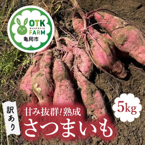 【ふるさと納税】《訳あり》【数量限定】甘み抜群 熟成 さつまいも 5kg 野菜 旬 サツマイモ 芋 ※離島への配送不可 ※2025年12月下旬までに順次発送