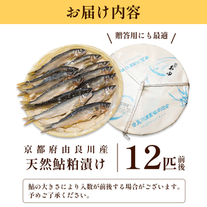 天然鮎の粕漬け 12匹 【 あゆ 鮎 アユ 天然鮎 鮎の粕漬け 鮎 】