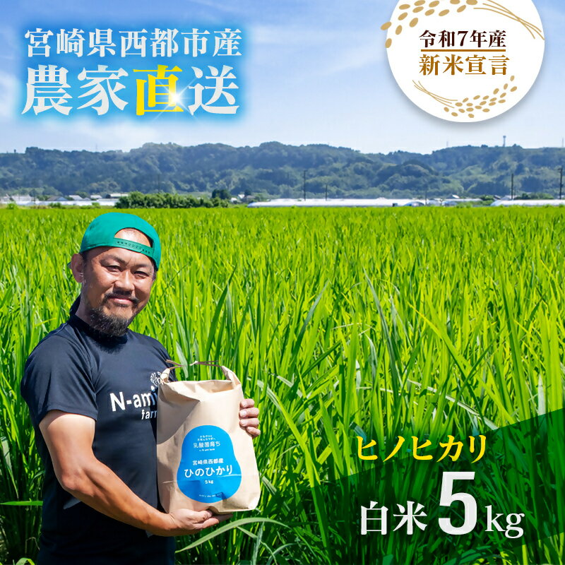 【ふるさと納税】『令和7年産 新米 先行予約』ヒノヒカリ 5kg　※10月中旬以降順次発送予定　精米済み＜1.3-23＞