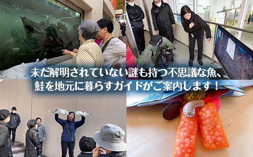 【豊浦町内】サケ見学ツアー（5人用） TYUL021