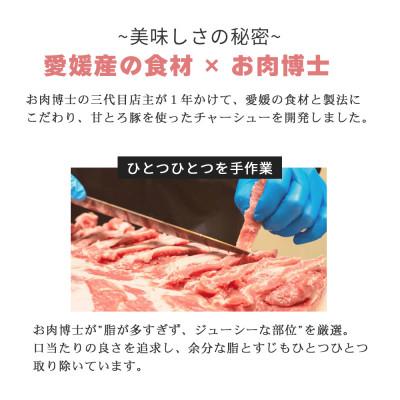 ふるさと納税 新居浜市 愛媛産 ブランド豚 「甘とろ豚」使用 甘とろ媛チャーシュー(約300g×2個) 食べ比べセット |  | 01