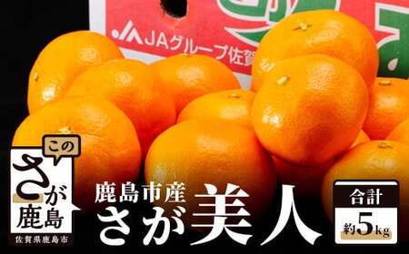【さが美人 みかん 約5kg】 温州みかん フルーツ 果物 ギフト 贈答 ミカン 蜜柑 柑橘 くだもの 果実 国産 佐賀県 鹿島市 ふるさと 人気 送料無料 【10月下旬～12月頃発送予定】 B-67