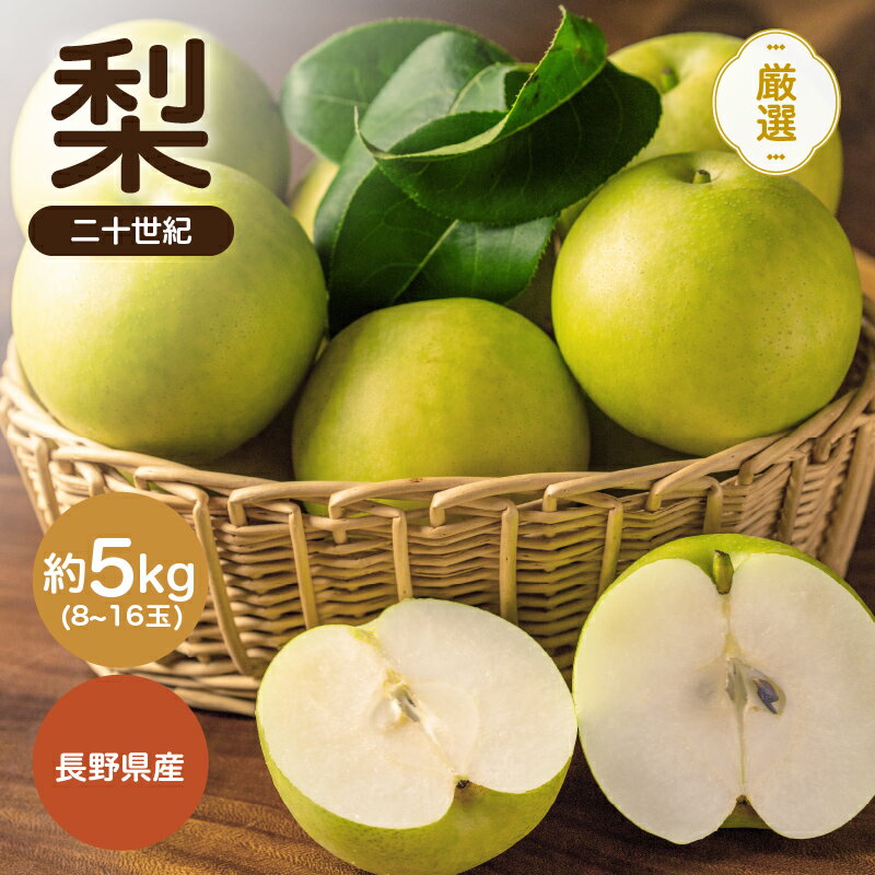 【ふるさと納税】【2026年先行予約】二十世紀 秀品 約5kg 8〜16玉 JAみなみ信州DMセンター飯田市 | 二十世紀 二十世紀梨 梨 ナシ なし フルーツ 果物 ジューシー 信州 南信州 送料無料 ふるさと納税 長野県 飯田市 K22