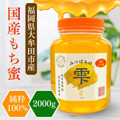 
                  みつばちの雫　国産もち蜂蜜　2000g【1481084】
                