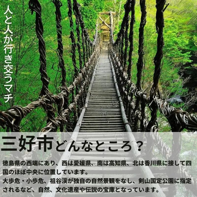 トマト 2kg シンディスイート 新鮮 産地直送 徳島県 三好市 【 野菜 】