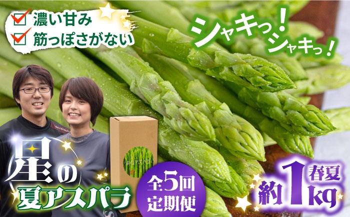 【5回定期便】【星のアスパラ】春＆夏 の グリーン アスパラガス 約1kg / アスパラ 春野菜 野菜 / 南島原市 / ほしのYA[SEY017]