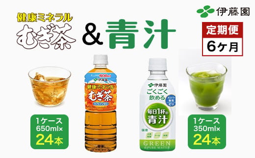 【6か月定期便】「伊藤園」健康ミネラルむぎ茶 1ケース（650ml×24本）＆ごくごく飲める！ 毎日1杯の青汁1ケース（350ml×24本）／伊藤園 麦茶 健康ミネラル麦茶 むぎ茶 カフェインゼロ 健康  青汁 無糖 あおじる 青じる カロリーゼロ 糖質ゼロ 毎日1杯の青汁 大麦若葉 ケール 抹茶 美容 野菜不足 箱買い ケース 大容量 定期便 定期 TMP024