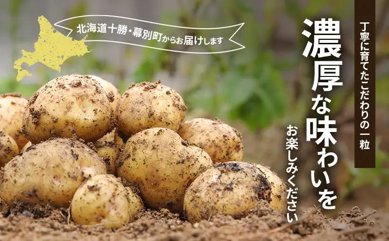 十勝 幕別町産 じゃがいも15kg おまかせ3種(各5kg)【渡邉農場】 [2026年11月出荷開始]【 野菜 いも イモ 芋 じゃがいも ジャガイモ 北海道 十勝 幕別 】