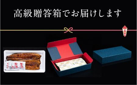 うなぎ 朝じめ 溶岩焼き 蒲焼き 2尾 冷蔵 うなぎ