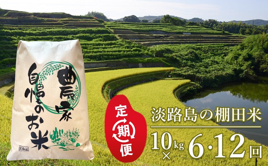 
                  【定期便】淡路島の棚田米 10kg×6回・12回・隔月6回
                