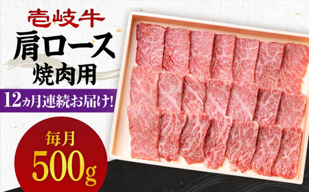 【全12回定期便】《A4～A5ランク》 壱岐牛 肩ロース 500g（焼肉用）《壱岐市》【壱岐市農業協同組合】[JBO097] 冷凍配送 黒毛和牛 A5ランク 肉 牛肉 肩ロース 焼肉 焼き肉 BBQ 赤身 定期便 焼肉用