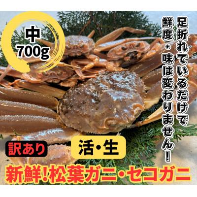 ふるさと納税 岩美町 鳥取網代港【訳あり】活!松葉ガニ・セコガニセット(中)【さかなや新鮮組】