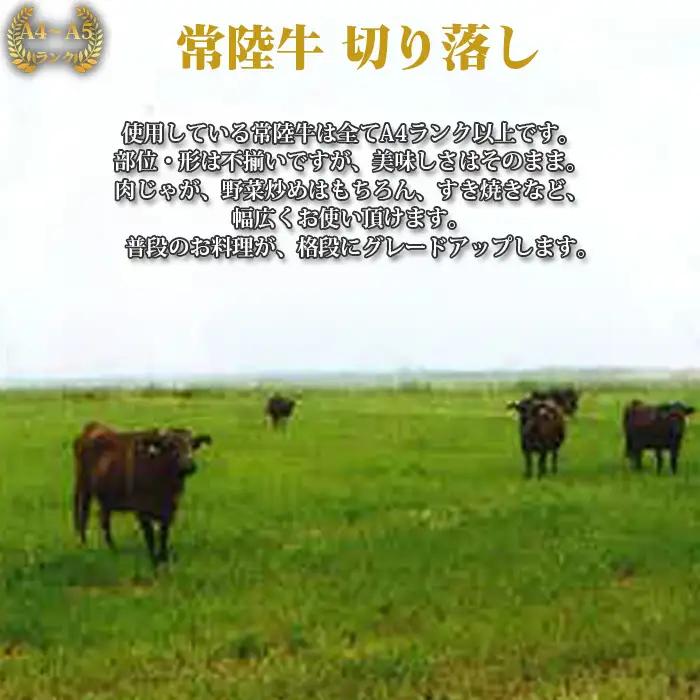 【常陸牛】切り落し　約900g＜茨城県共通返礼品＞ ／ A4ランク以上 ブランド牛 切り落し 黒毛和牛 牛肉 肉 すき焼き 焼肉 しゃぶしゃぶ 牛丼 肉じゃが BBQ グリル ご家庭用 万能 幅広く使