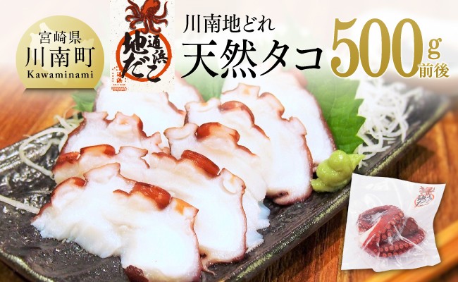
            漁協直送！天然タコ（湯がき済）小分けで500g前後 【 たこ 蛸 海産物 日向灘 地どれ 】
          