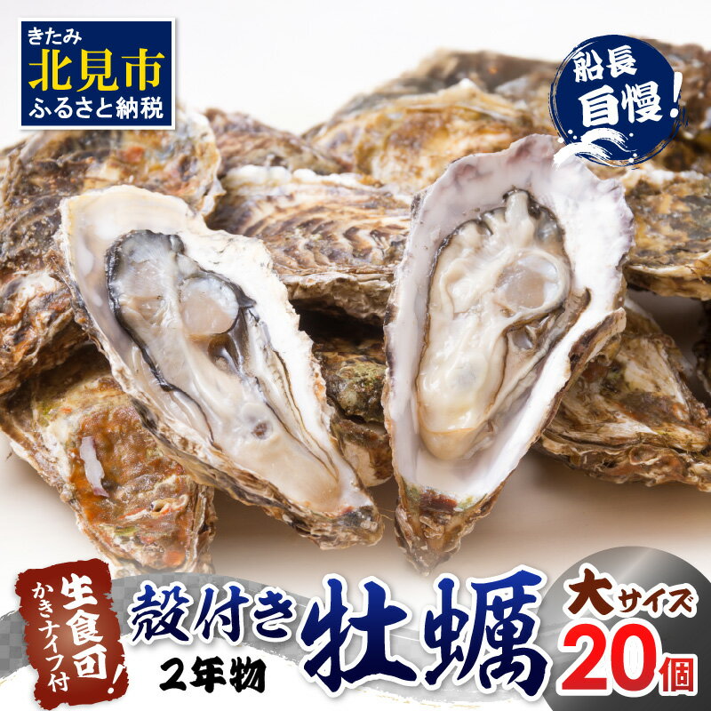 【ふるさと納税】【予約：2025年11月中旬から順次発送】サロマ湖自慢の殻付きカキ貝 2年物 大 20個