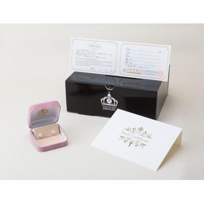 ふるさと納税 長崎市 PT900 / 8.5mm アコヤ真珠　ピアス |  | 01