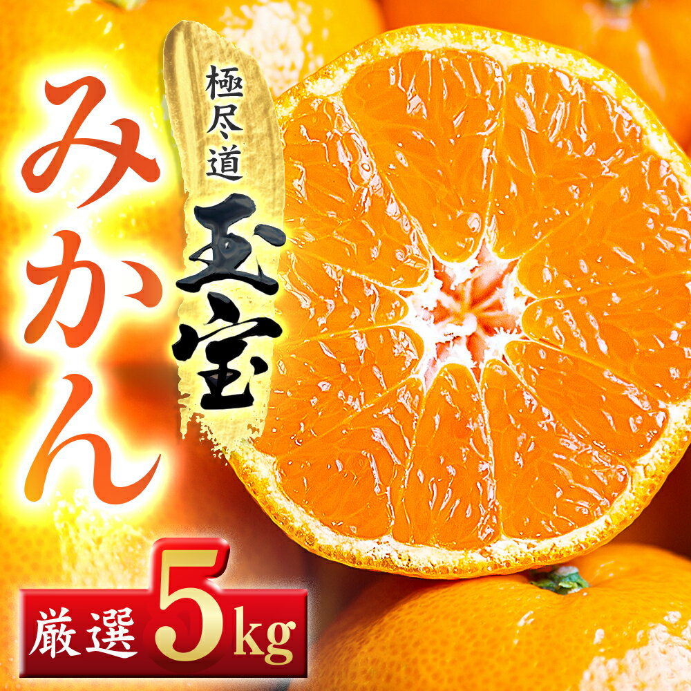 【ふるさと納税】【先行受付】【愛媛名産】玉宝みかん(3kg/5kg/10kg/20kg)_ みかん 愛媛 ミカン 蜜柑 愛媛県 愛媛みかん 柑橘 果実 果物 くだもの フルーツ ふるーつ デザート 人気 ジューシー おいしい 国産 八幡浜市 産地直送 産直 送料無料 【G1340879】 YWTY001
