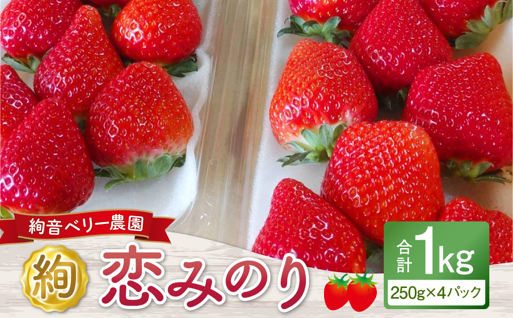 
            絢音ベリー農園 絢 いちご 恋みのり 1kg （250g×4パック） 苺 先行予約 熊本県 フルーツ 厳選 【2025年12月上旬～2026年2月下旬迄発送予定】
          
