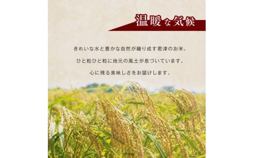 令和8年産 ミルキークィーン 無洗米 2kg | あかかげ農園 メディアで紹介 !  無洗米 1回 山名郷米 やまなごう まい 千葉稲作 千葉県産 むせんまい 米 コメ こめ お米 千葉県 君津市 きみつ