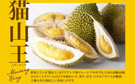 【無地熨斗】 ドリアン ココナッツ アイスクリーム 100ml 6個 ココナッツミルク