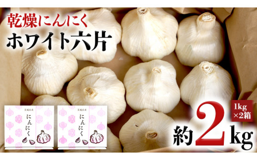 
【 数量限定 】 八千代町産 乾燥 にんにく ホワイト 六片 約2kg （1kg×2箱） Lサイズ ニンニク 国産 産地直送 茨城県 [AA016ya]
